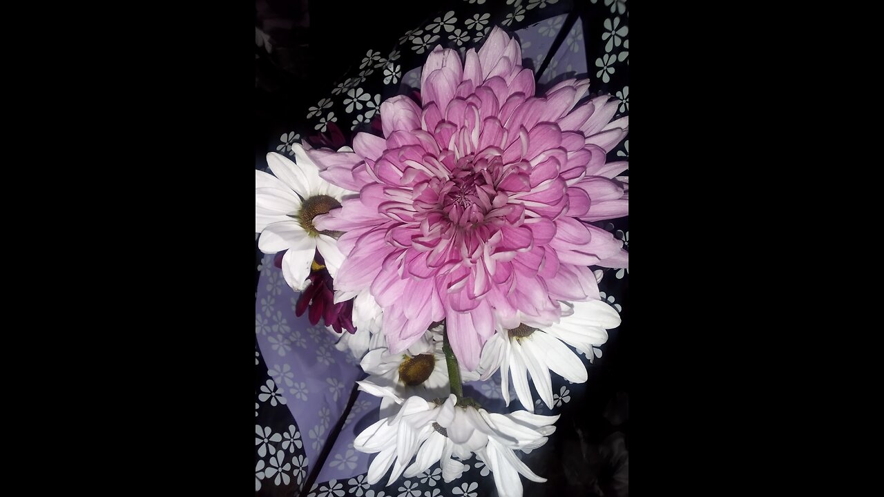 It's trouble in paradise