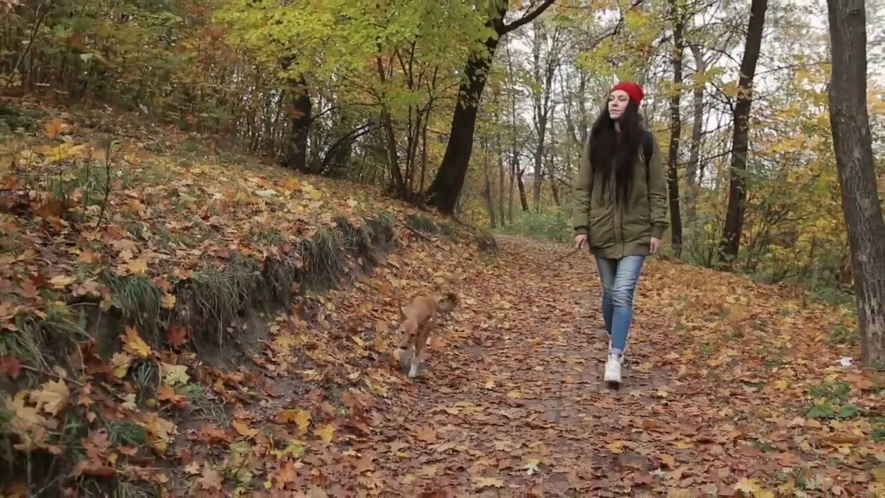 Lovely woman enjoying walk with her dop in forest