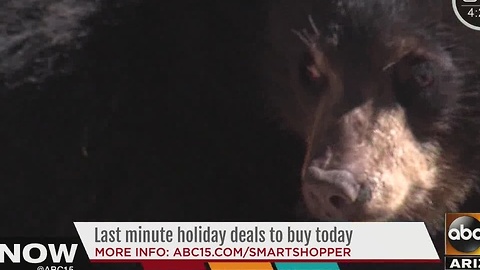 Three deals to get days before Christmas