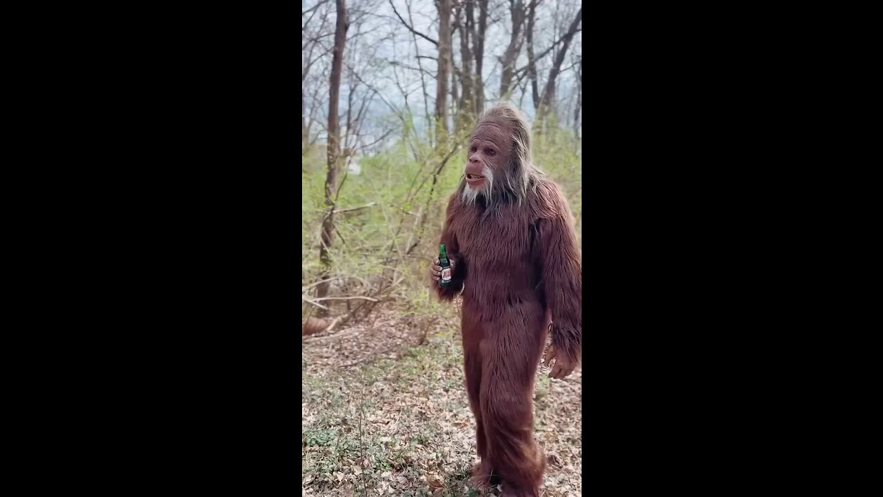 🤣