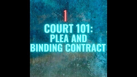 17-Plea Deals are binding contracts