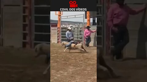 segura peão 😂😂
