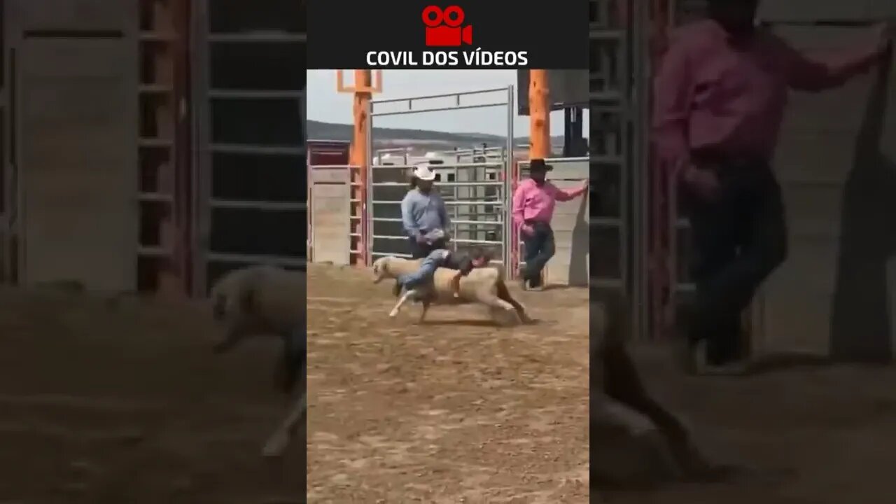 segura peão 😂😂