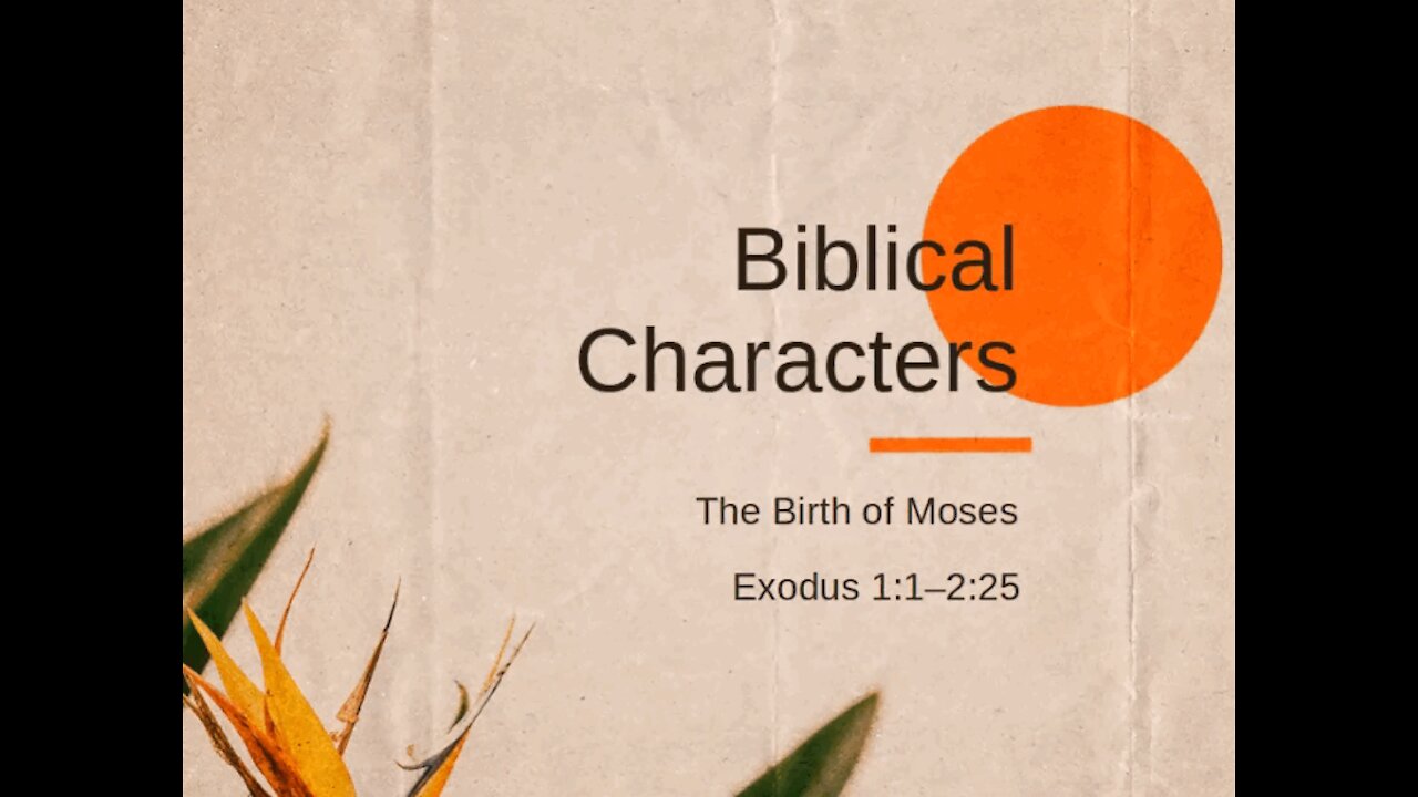 916 Biblical Characters - The Birth of Moses (Ex.1.1–2.25)