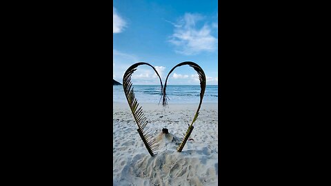 A Beautiful View from Beach