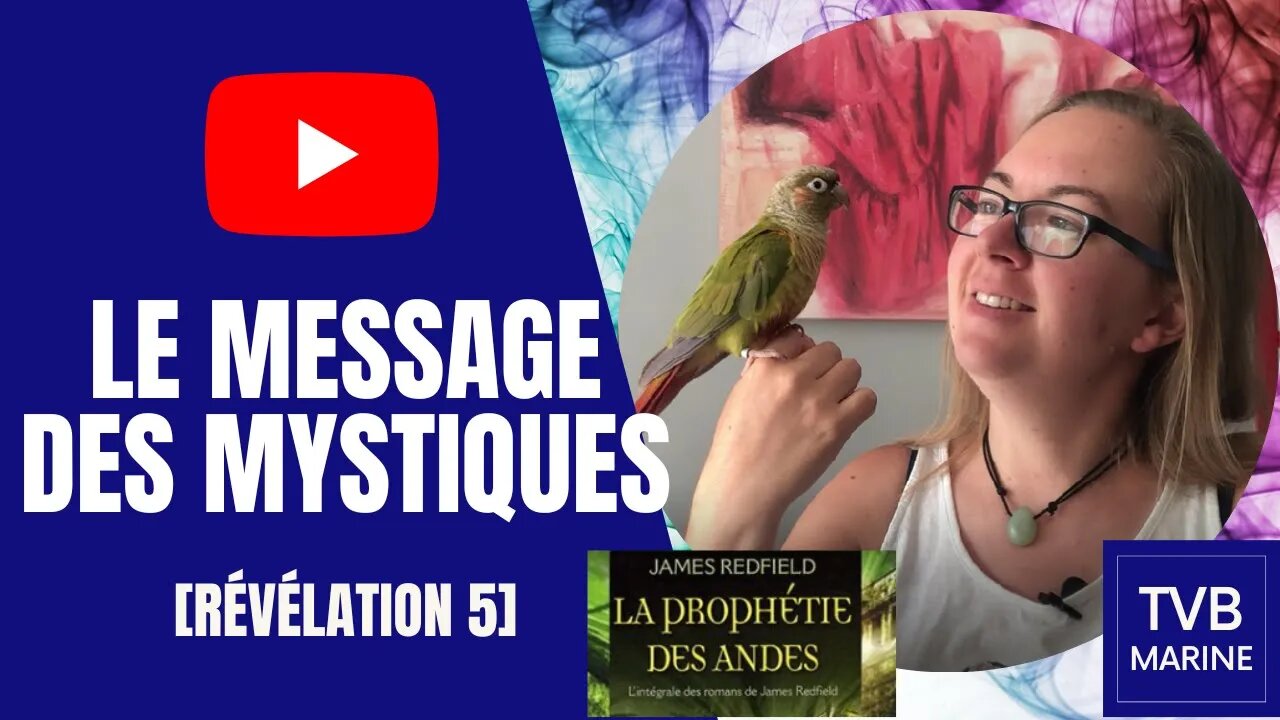 La prophétie des Andes Révélation 5 - Le message des mystiques [+exercices]