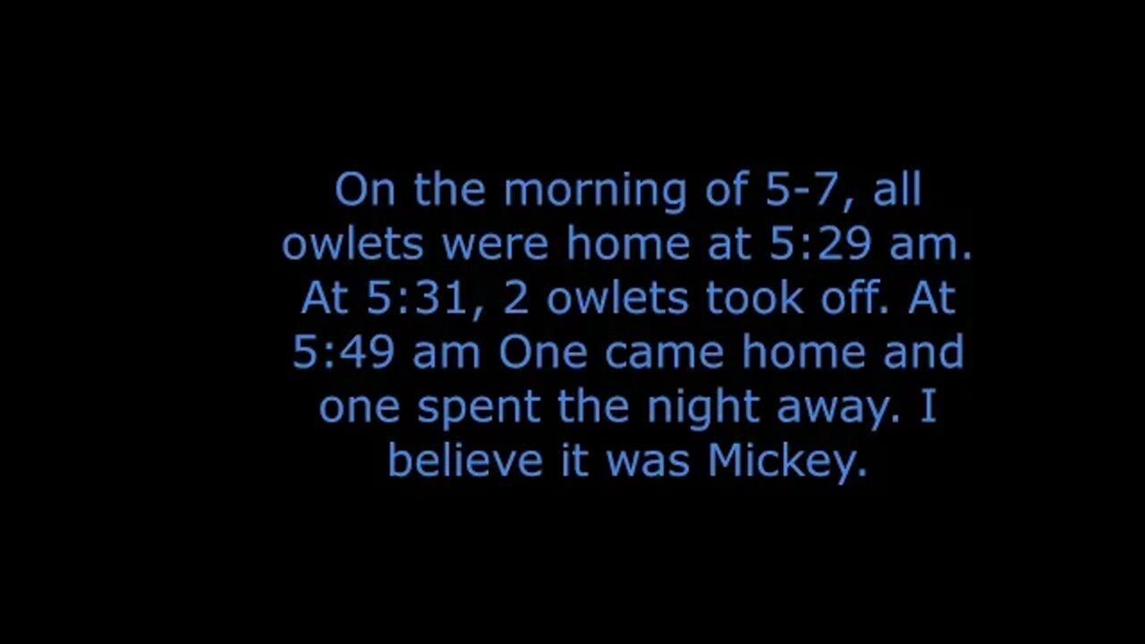 May 7 is the first day an owlet stayed out and slept elsewhere.