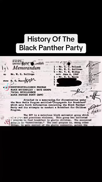 #fredhampton #fbi #chicago #truecrime #americanhistory #history