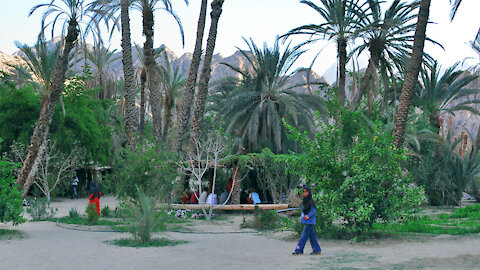 Feiran Oasis