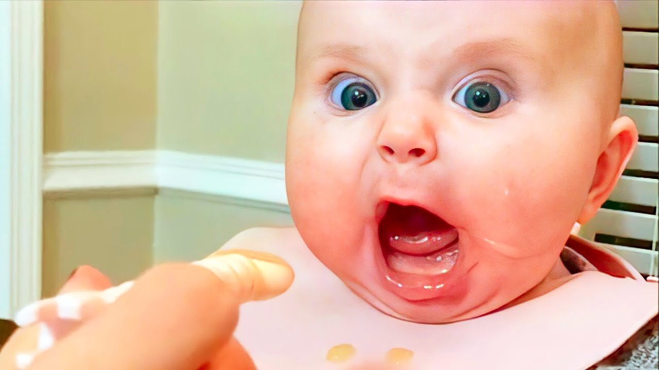 Funniest Baby Videos of the Week - Try Not To Laugh