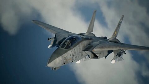 1st mission using F-14 D Super Tomcat dinamic view Ace Combat 7