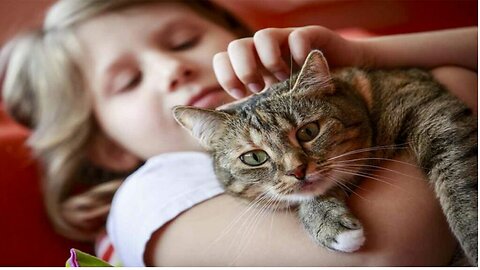Best Funny Animal Videos 2022 😺😇 - Funniest And Cute Dogs And Cats Videos