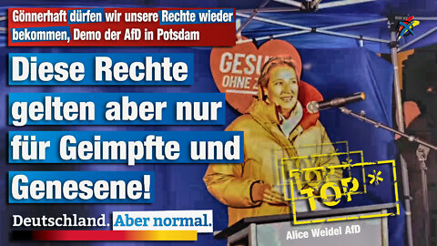 Gönnerhaft dürfen wir unsere Rechte wieder bekommen, Demo der AfD in Potsdam