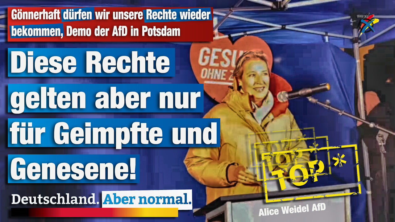 Gönnerhaft dürfen wir unsere Rechte wieder bekommen, Demo der AfD in Potsdam