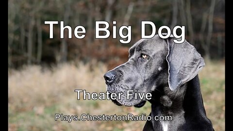 The Big Dog - Theater Five