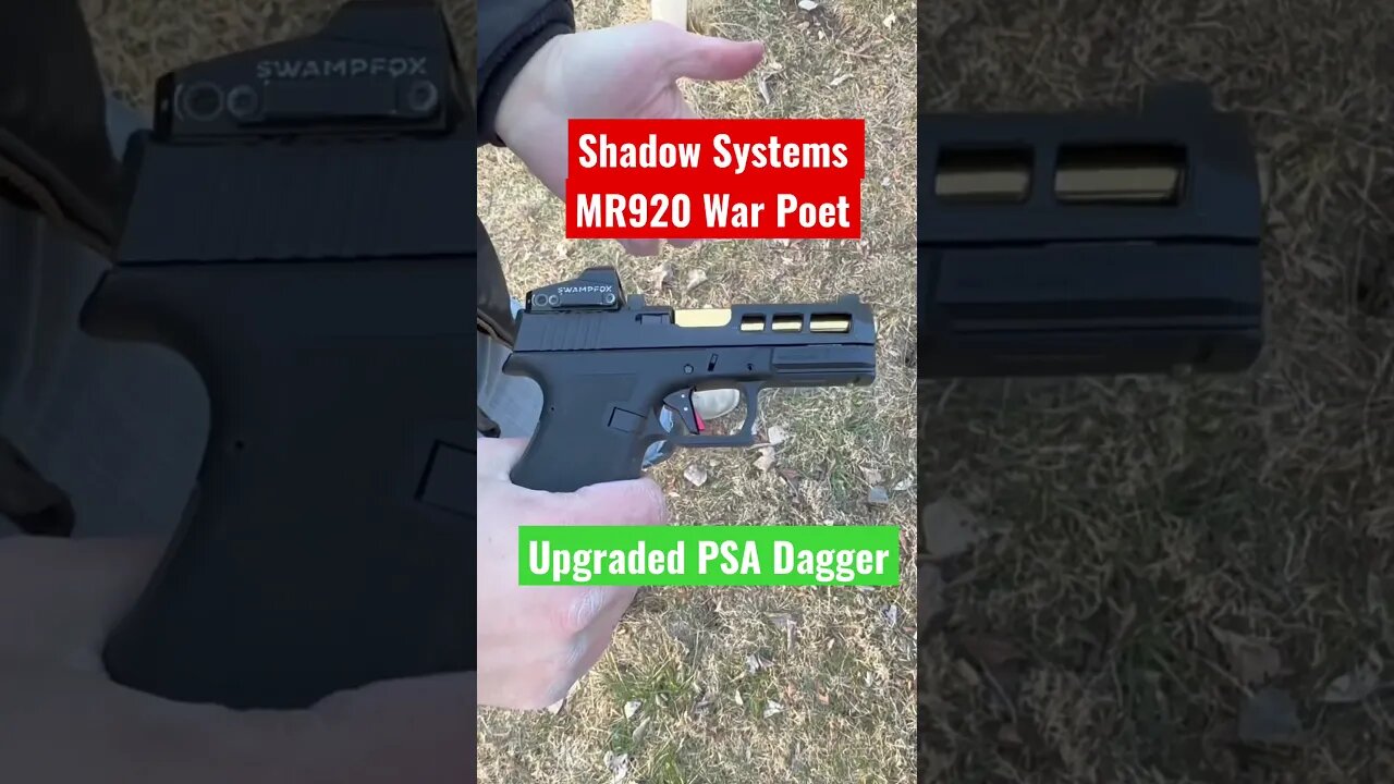 Palmetto State Armory Dagger vs Shadow Systems MR920 #guns #shooting #palmettostatearmory #fun