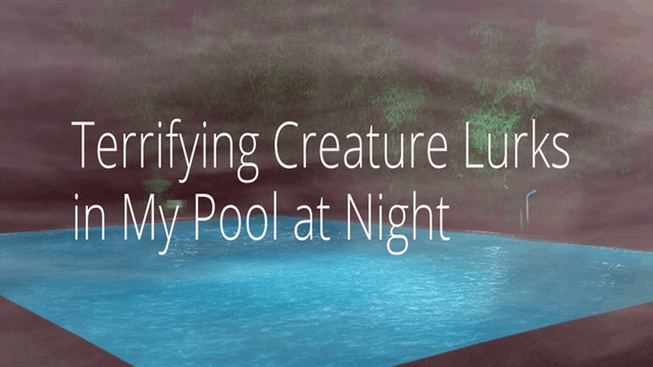 Terrifying Creature Lurks in My Pool at Night