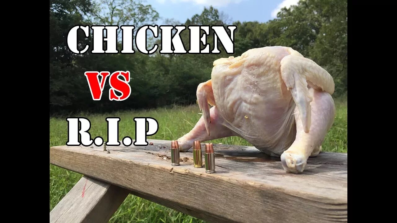 R I P Ammo vs Chicken Test...