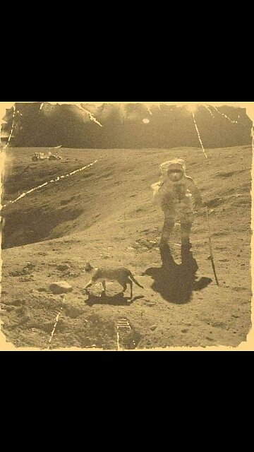 While we are distracted with the War,