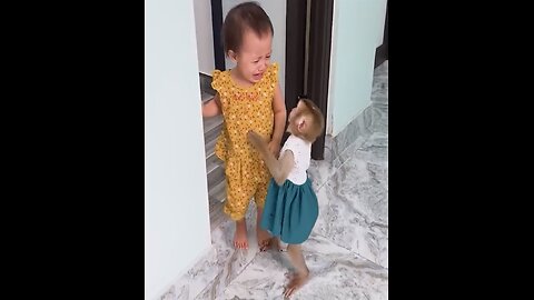 Million heartbreak monkey Kaka to see beloved baby got so painful leg injure