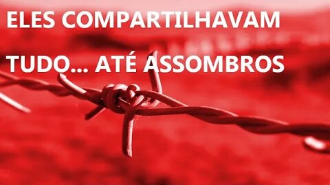 ASSOMBRAÇÕES NO QUINTAL