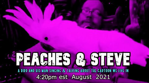 Peaches and Steve vol 1