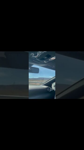 Jumping From Car to Truck For Tangerines 3 🍊 #shorts