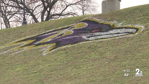 Ravens logo stenciled for Wild Card week