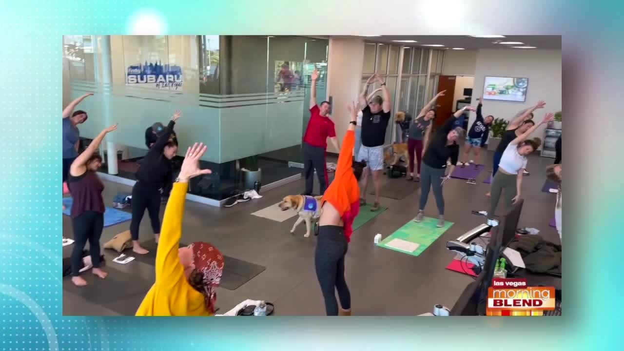 Downward Dog Yoga Event