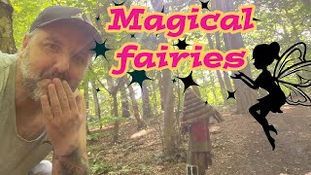 A magical fairy village in Roundhay Park Leeds