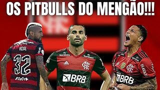 OS PITBULLS DO FLAMENGO/ THIAGO MAIA/JOÃO GOMES/ARTURO VIDAL