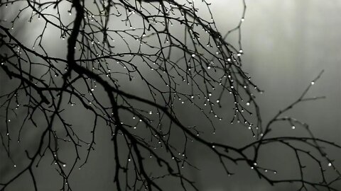 Som de Chuva e trovoadas para corujão de estudos 🌧