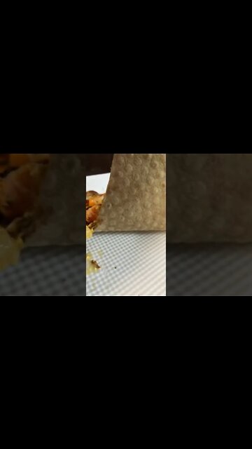 도미노피자 자르지 않고 배달 사고 새우 피자 가위 잘라서 먹음 정신 좀 차리고 살자 살인 코백 반대