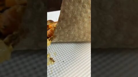 도미노피자 자르지 않고 배달 사고 새우 피자 가위 잘라서 먹음 정신 좀 차리고 살자 살인 코백 반대