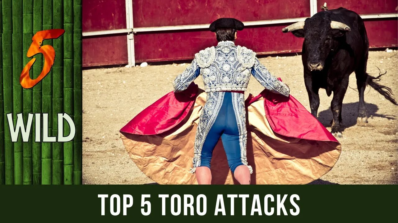 Top 5 Toro Attacks That Killed Matadors | 5 WILD