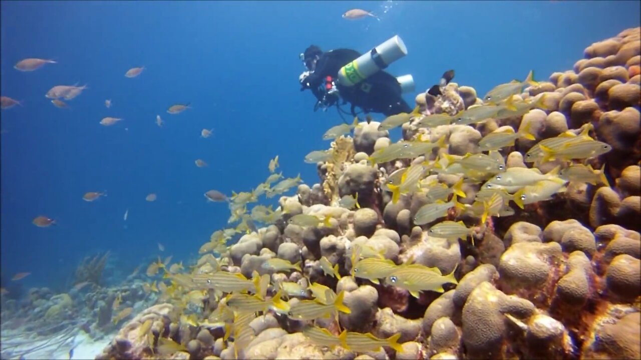 Bonaire Sidemount 🏔️