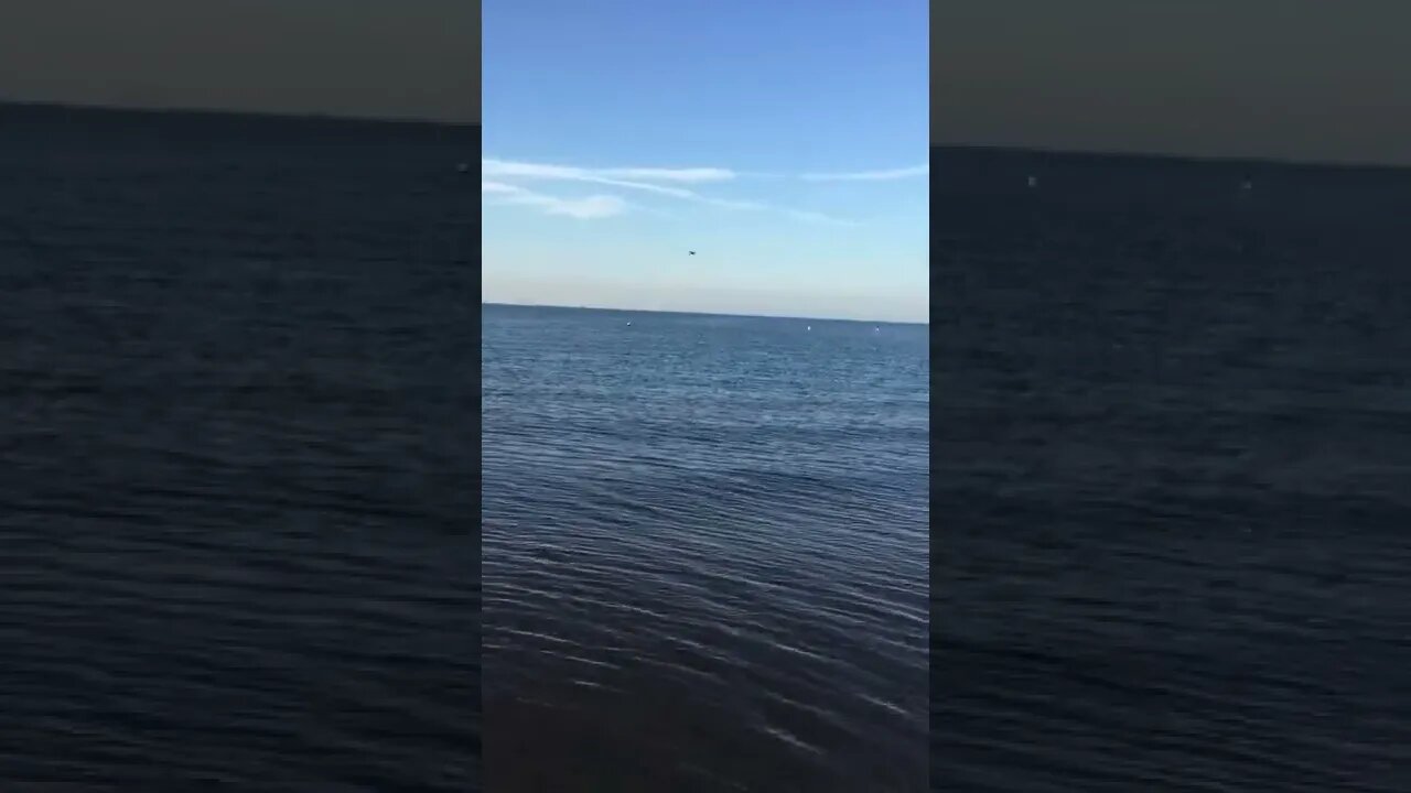 Osprey Out Fishing Fisherman ( You can hear it hit the water , Hard ! )