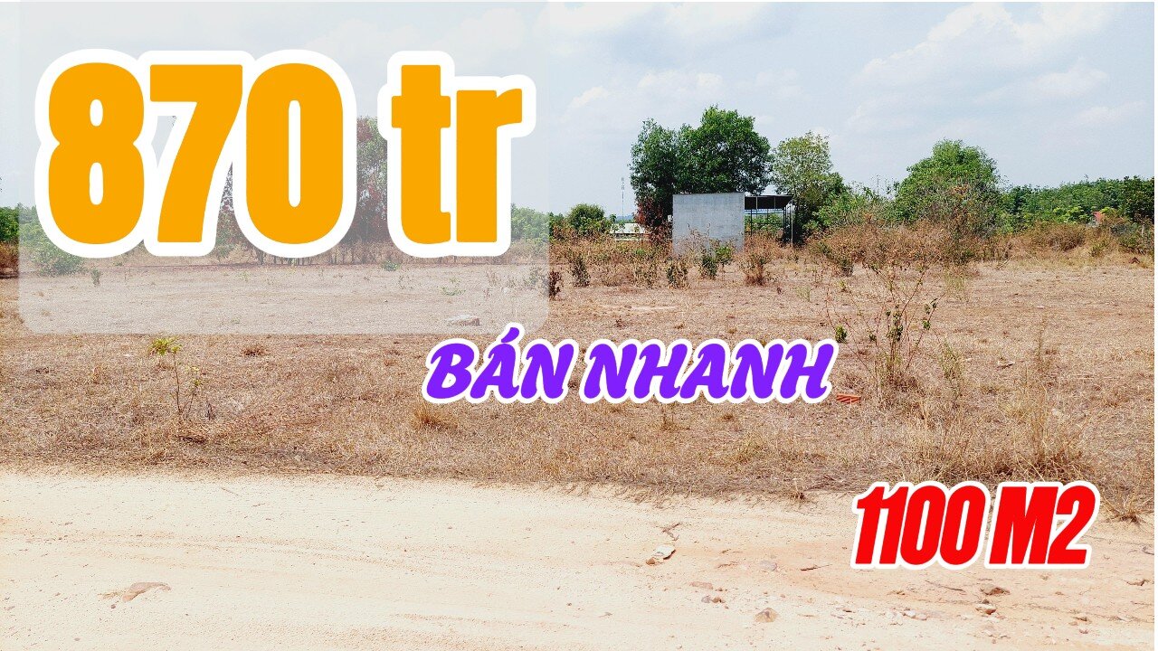 Đất Dầu Tiếng | kẹt tiền cưới vợ bán nhanh lô đất 20 x55 giá rẽ #553