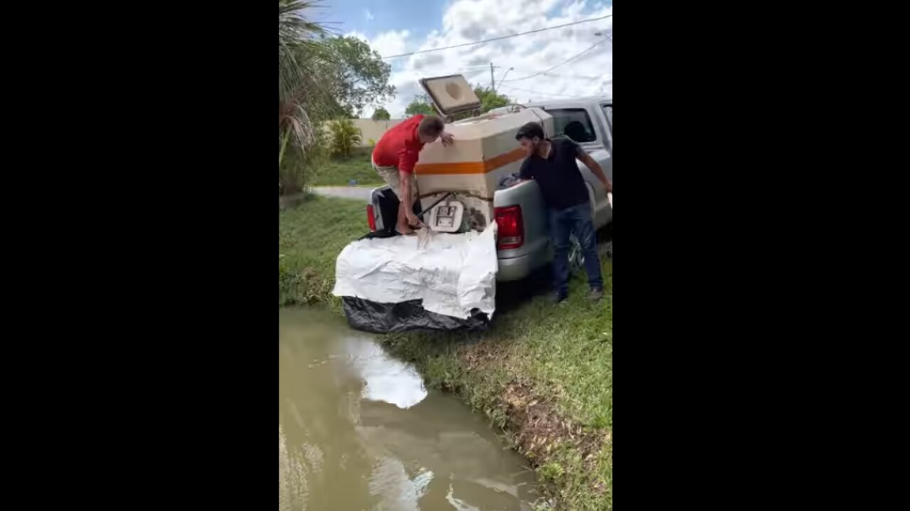 Man Slips and Falls While Stocking Pond With Fish