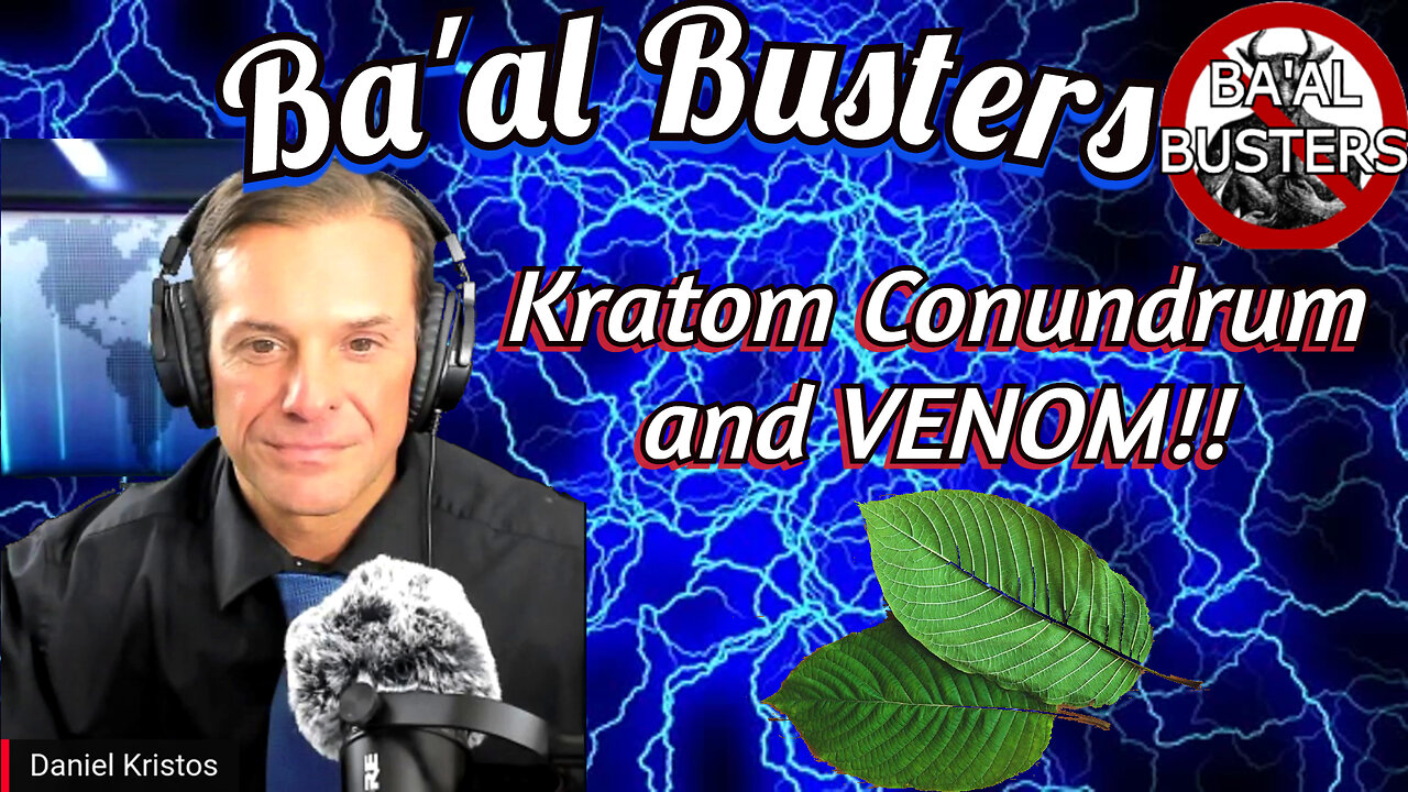 Kratom Conundrum Update: It's Used as a Snake Bite Treatment! Could this help the Jabbed?