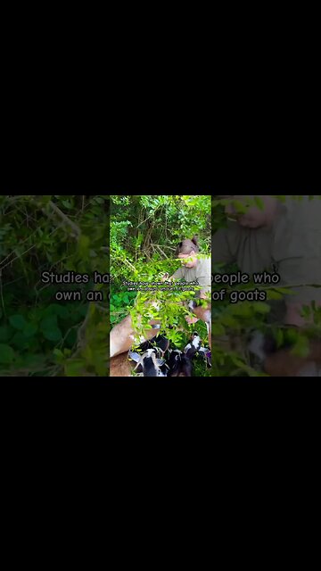 Can’t argue with science #shorts