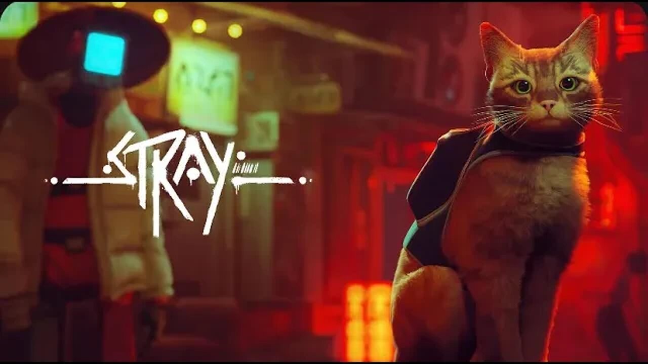 Stray - Episode 1