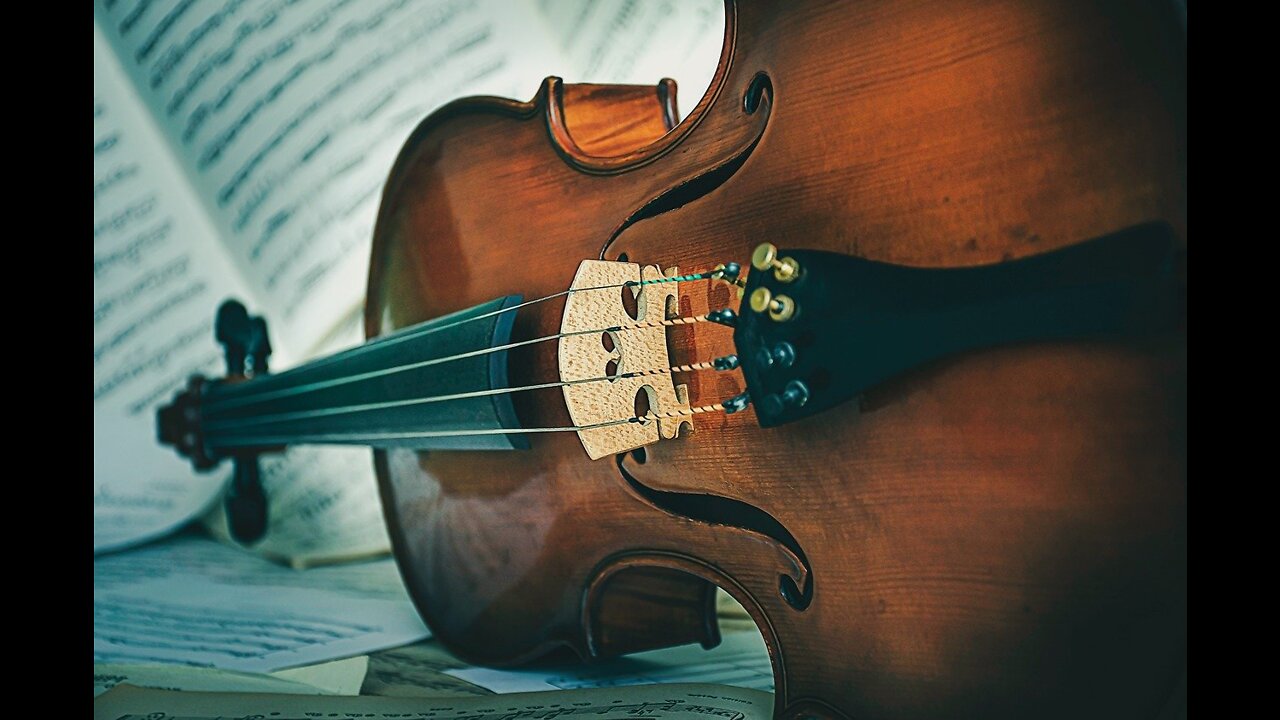 World first' vegan violin