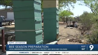 Local beekeepers discuss methods to protect people from swarms