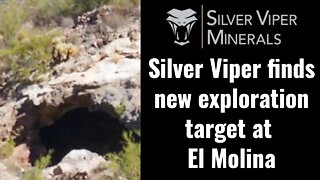 Silver Viper finds new exploration target at El Molina