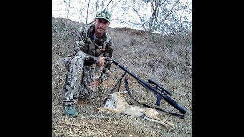 Coyote hunt- Downward Dog- Bonsall, CA