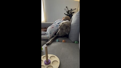 Beating up her puppy 🤣🤣😂