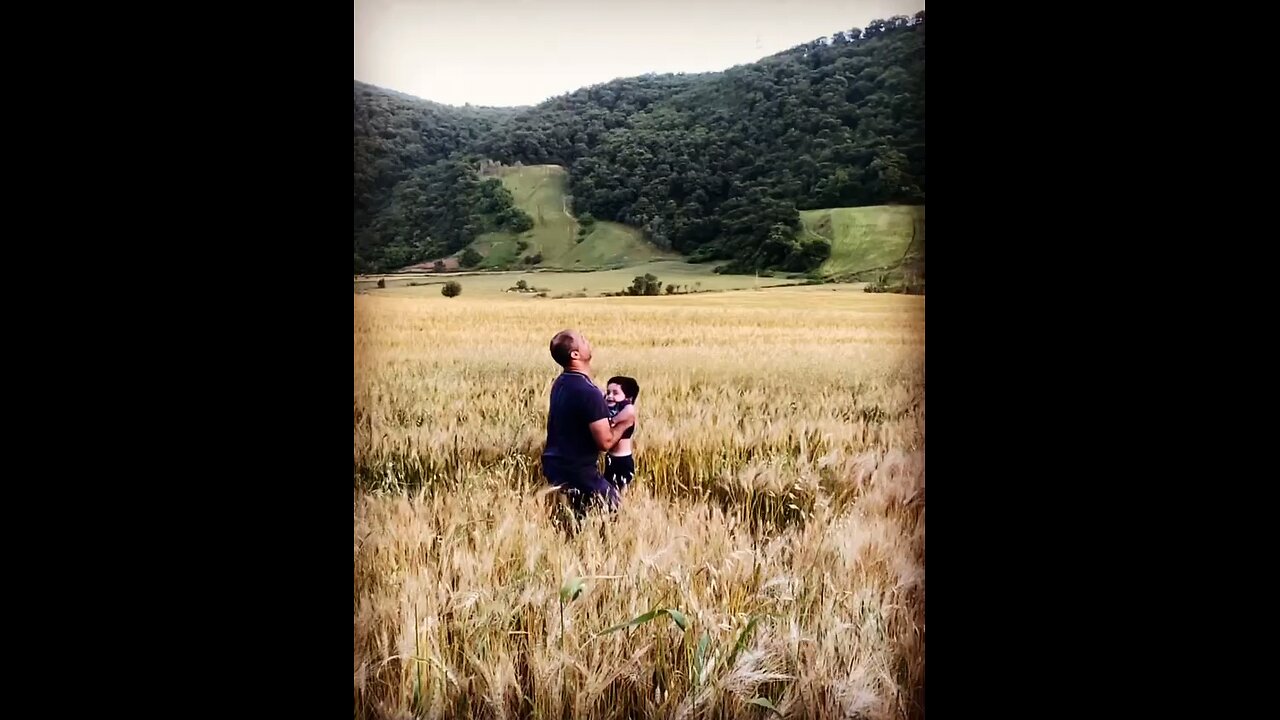 Liam is in grandpa's wheat farm