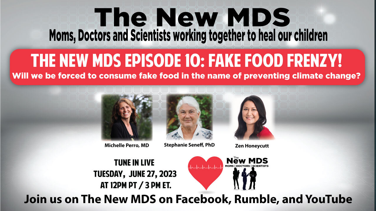 The New MDS - Episode 10 - Fake Food Frenzy