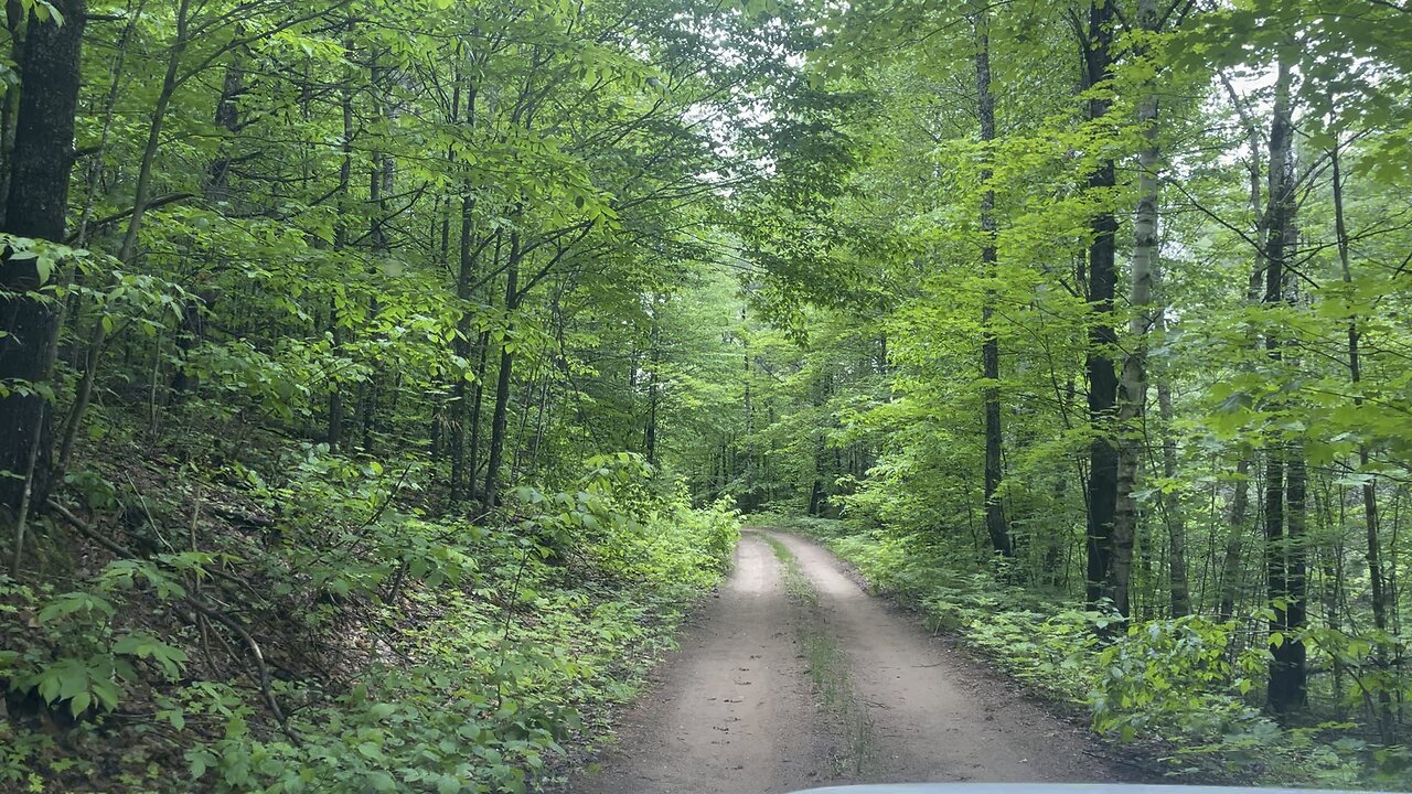 Forest roads in the upper peninsula of Michigan